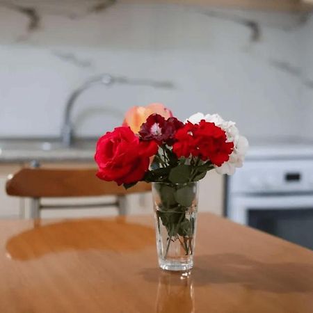 Vila Agolli วญอเรอ ภายนอก รูปภาพ