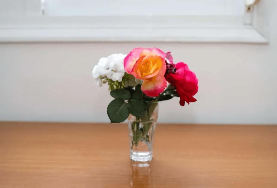 Vila Agolli วญอเรอ ภายนอก รูปภาพ