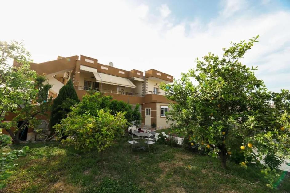 Vila Agolli วญอเรอ ภายนอก รูปภาพ