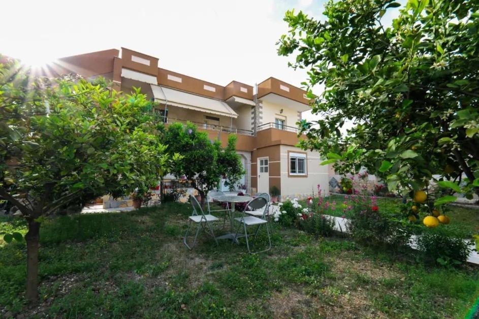 Vila Agolli วญอเรอ ภายนอก รูปภาพ