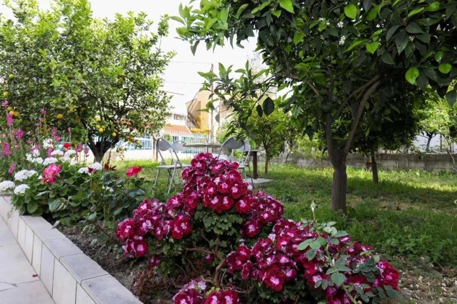 Vila Agolli วญอเรอ ภายนอก รูปภาพ